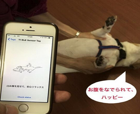 电路板厂