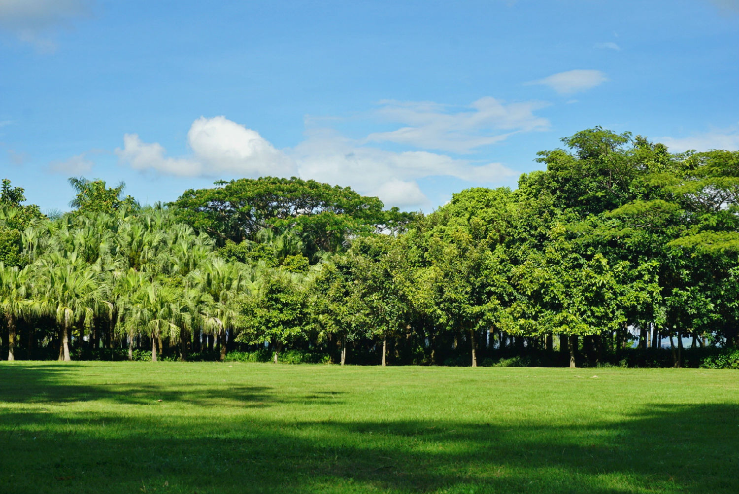 a1ae3401ef7999699fbd597c8f3f1d2.jpg a1ae3401ef7999699fbd597c8f3f1d2.jpg