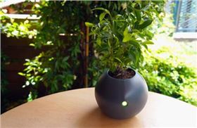 电路板厂家绿化