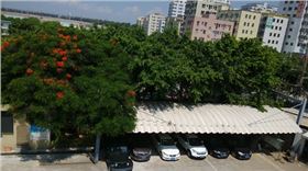 电路板厂家绿化